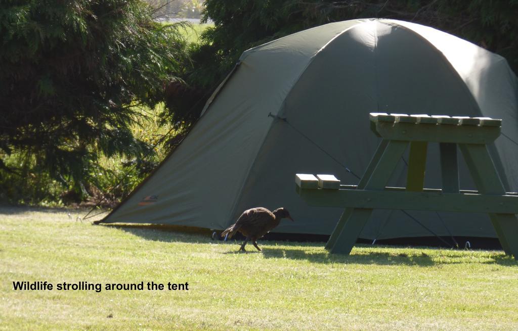 Carters Beach Top 10 Holiday Park Westport Extérieur photo